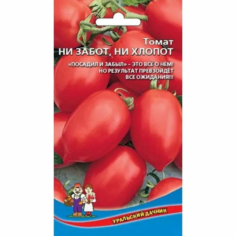 Томат красная звезда. Томат ни забот ни хлопот уральский дачник. Томат ни забот хлопот описание сорта. Помидоры сорт ни забот ни хлопот. Томат ни забот ни хлопот.