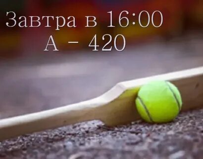 Мини лапте