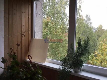 Погода в стеклянном