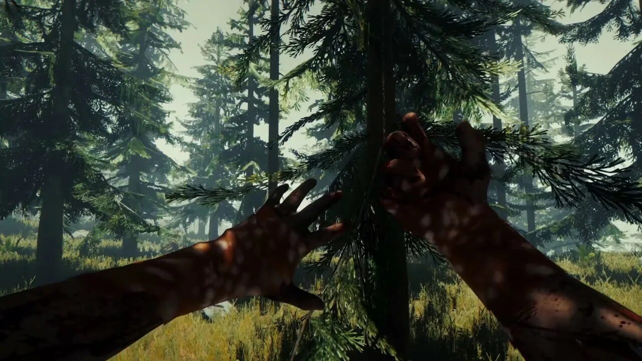 The were going the forest. Форест игра. The Forest игра на ps4. The Forest обложка на ps4. Forest 2 игра.