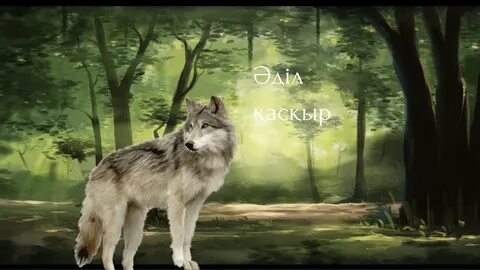 Қыз қынаптарының фотосуреттері