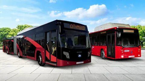 Тендеры автобусы