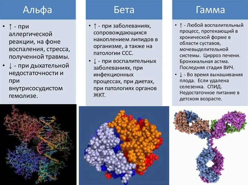 Белок можно обнаружить. Глобулины Альфа 1 и Альфа 2 бета. Гамма глобулин и бета глобулин. Глобулины функции в крови. Альбумин Альфа 1 бета глобулин и гамма глобулины.