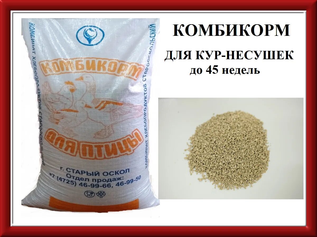 Курица старый оскол. Комбикорма для несушек 30 кг. комбикорм богданович пк2 состав. комбикорм пк-3 крупка. комбикорм для кур несушек старый оскол.