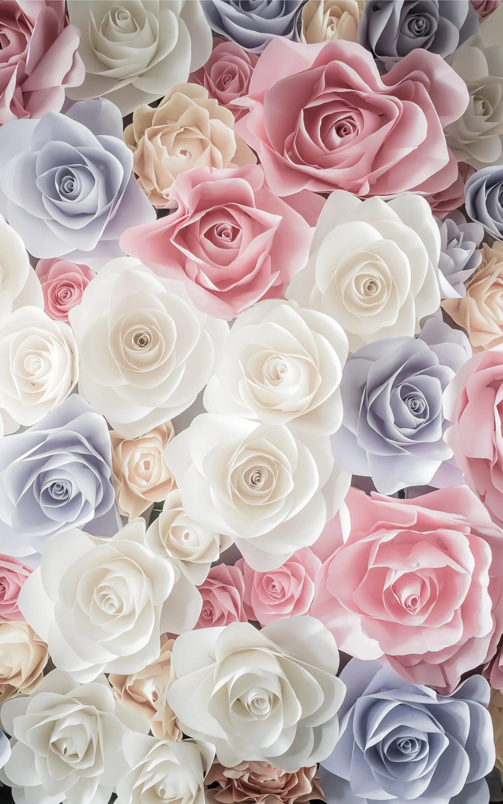 Цветы на телефон айфон. Цветочный фон. Розовые цветы. Бело розовые цветы. Розы пастельного цвета.