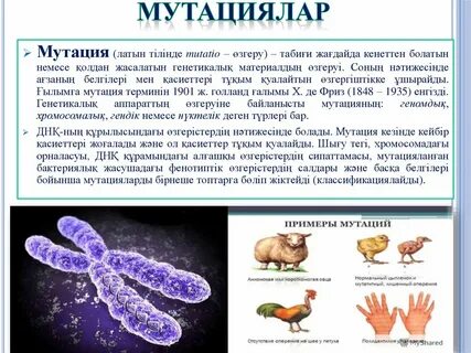 Кез келген адам тез бітіреді