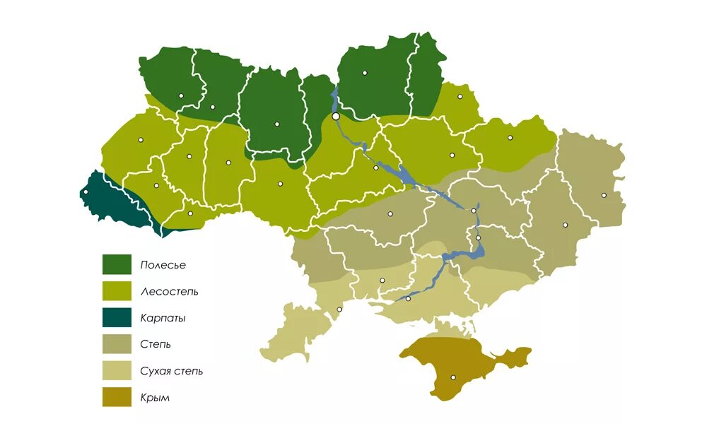 Северные области украины. Карта природных зон Украины. Карта Украины степи на карте. Карта Украины леса и степи. Степная зона Украины на карте.