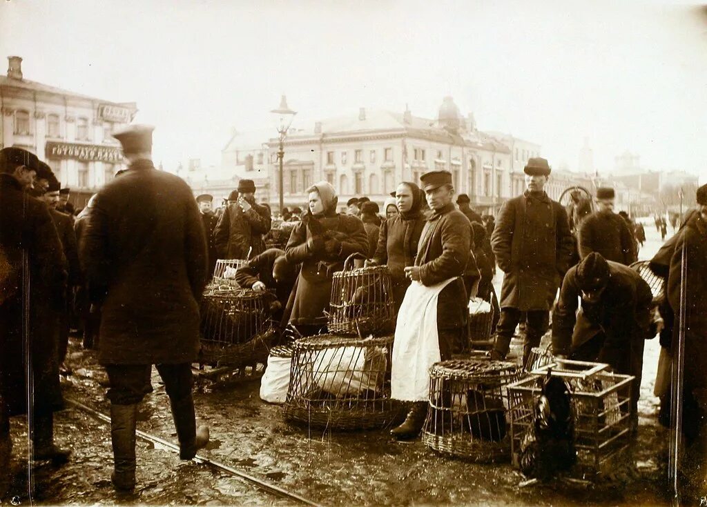 1908 г россия. 1908. Птичий рынок на трубной площади.. Рынок 19 век Москва. Московский базар 19 век. Грибной рынок в Москве 19 век.