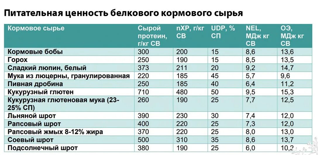 Сколько протеина на кг. Количество сырого протеина в горохе. Содержание протеина в кормах. Количество протеина в кормах. Горох протеин содержание.