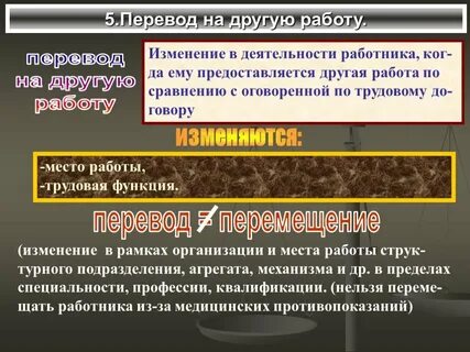 Виды переводов на другую работу