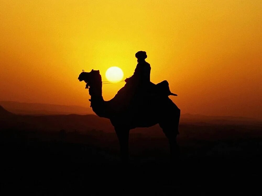 Умар ибн аль хаттаб сподвижник. Зубайр ибн аль-аввам. Сахабы сподвижники. Сподвижники на лошадях. Странник в пустыне.