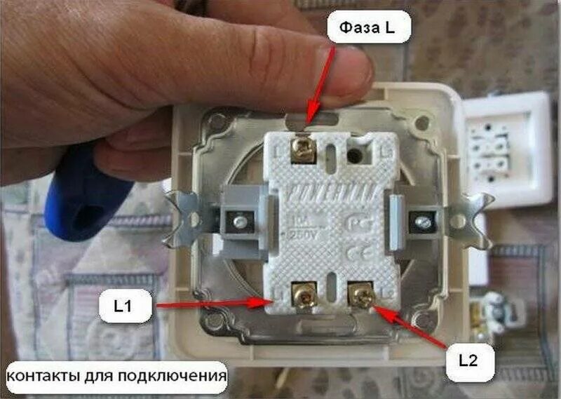 Подключить двухклавишный выключатель три провода. Выключатель двухклавишный l1 l2. Двойной выключатель l1 l2. L1 l2 l3 на выключателе двухклавишный. Двойной выключатель. L1 l2 l1.