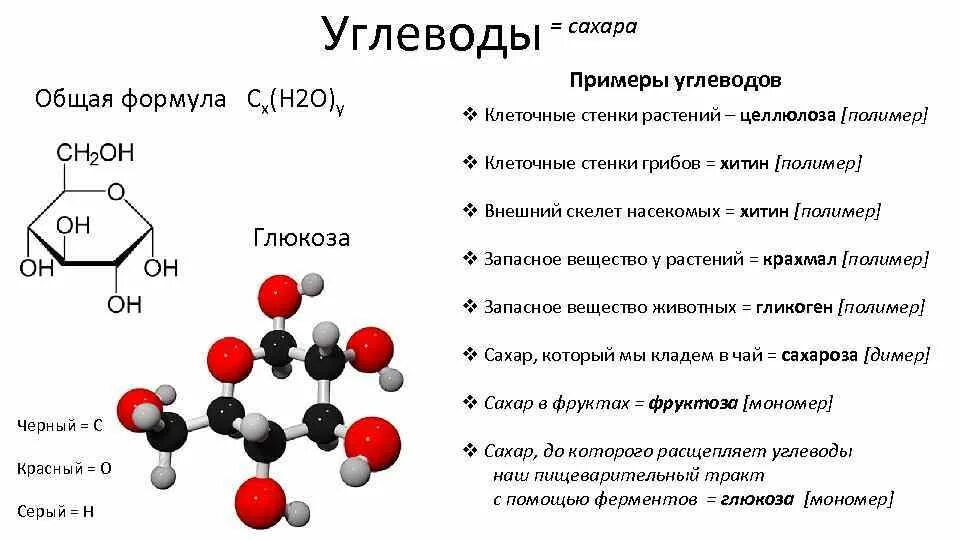 Запасным углеводом в печени человека является. Строение углеводов химия. Углеводы виды и формула. Углеводы структура формула.