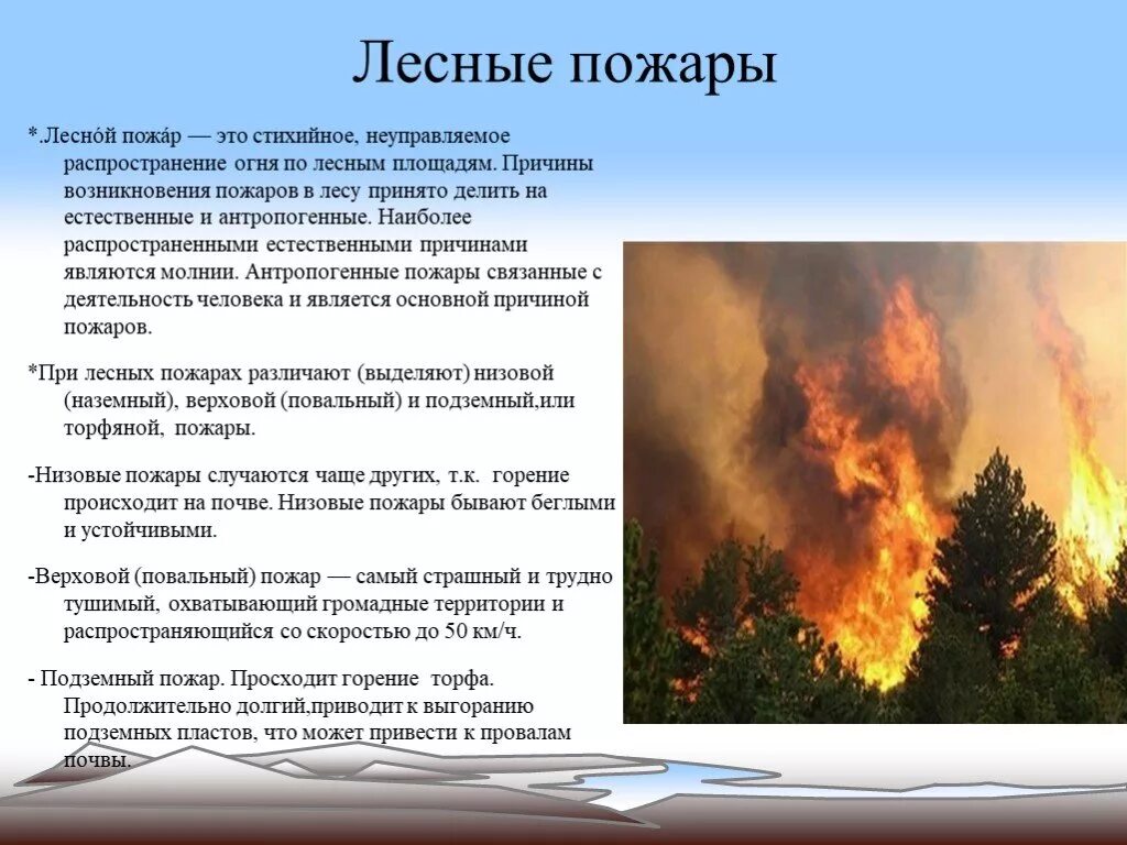 Лесные пожары описание. Краткое описание лесного пожара. Лесные пожары доклад. Природные пожары сообщение.