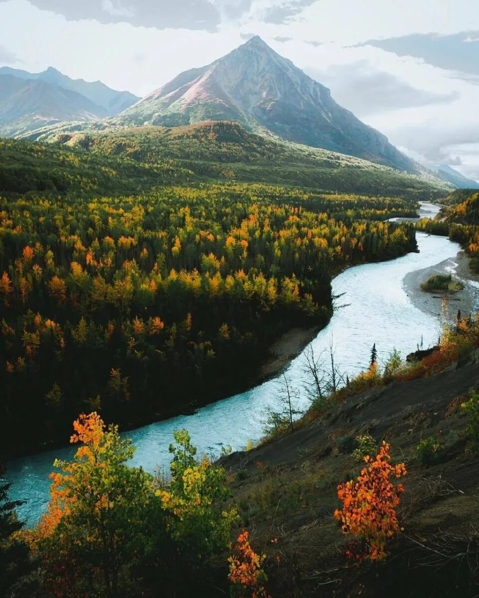Аляска природа. Штат Аляска природа. Северная Америка Аляска. Аляска (штат США). Южная аляска