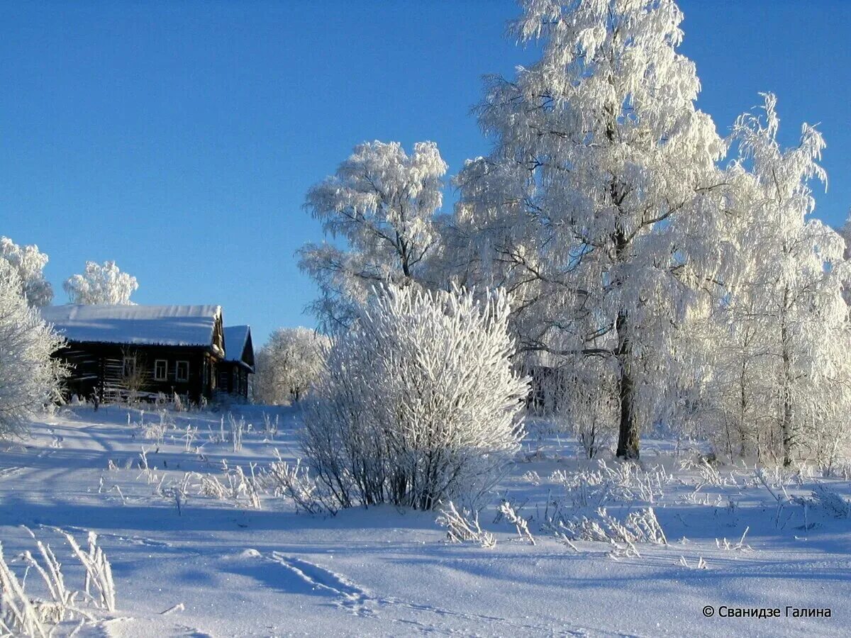 Красивые зимние картинки с надписями. Зимний день. Доброе утро зима. Доброе зимнее солнечное утро. Прекрасного зимнего дня.
