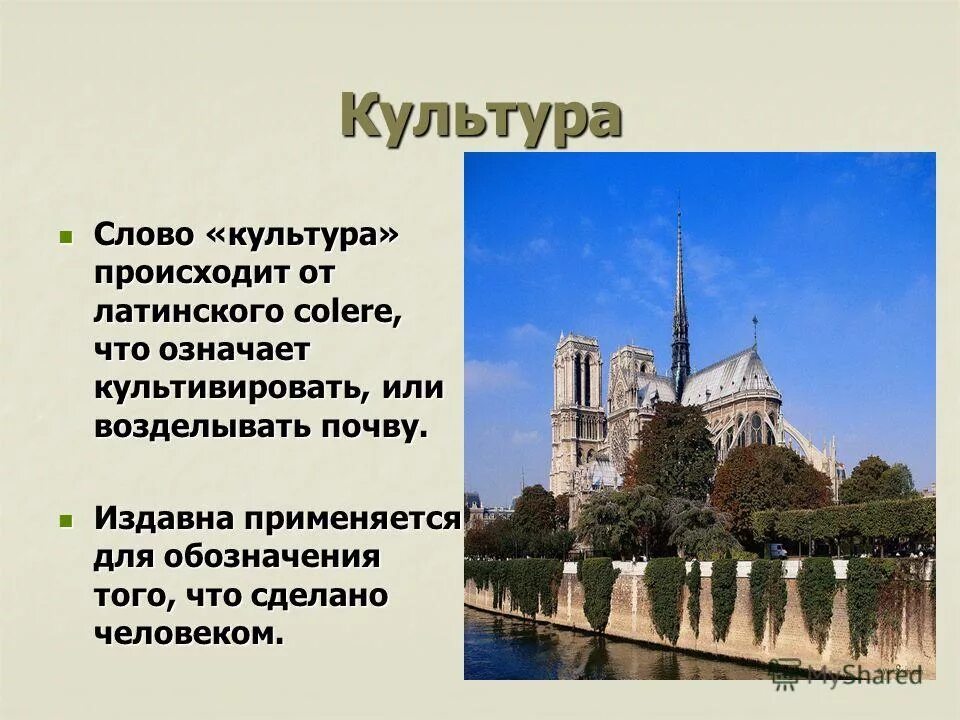 Слово культура произошло