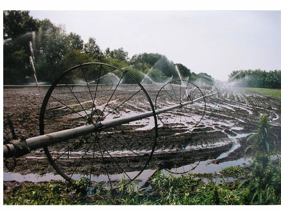 Полив водой из реки. Мелиорация Лиманное орошение. Дождевальная машина ДДА 100м. Полив арбузов ДДА 100. Поверхностный полив.