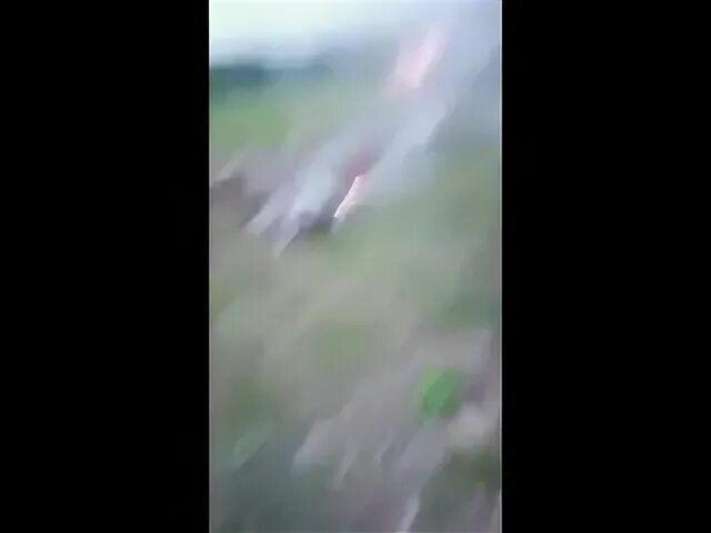 Гуляли летали