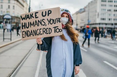 Up human