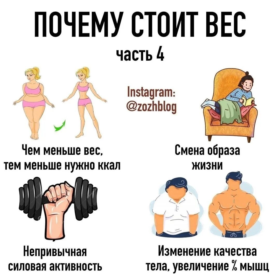 Почему стоит вес. Почему вес. Стоит вес причины. Почему вес стоит на месте.