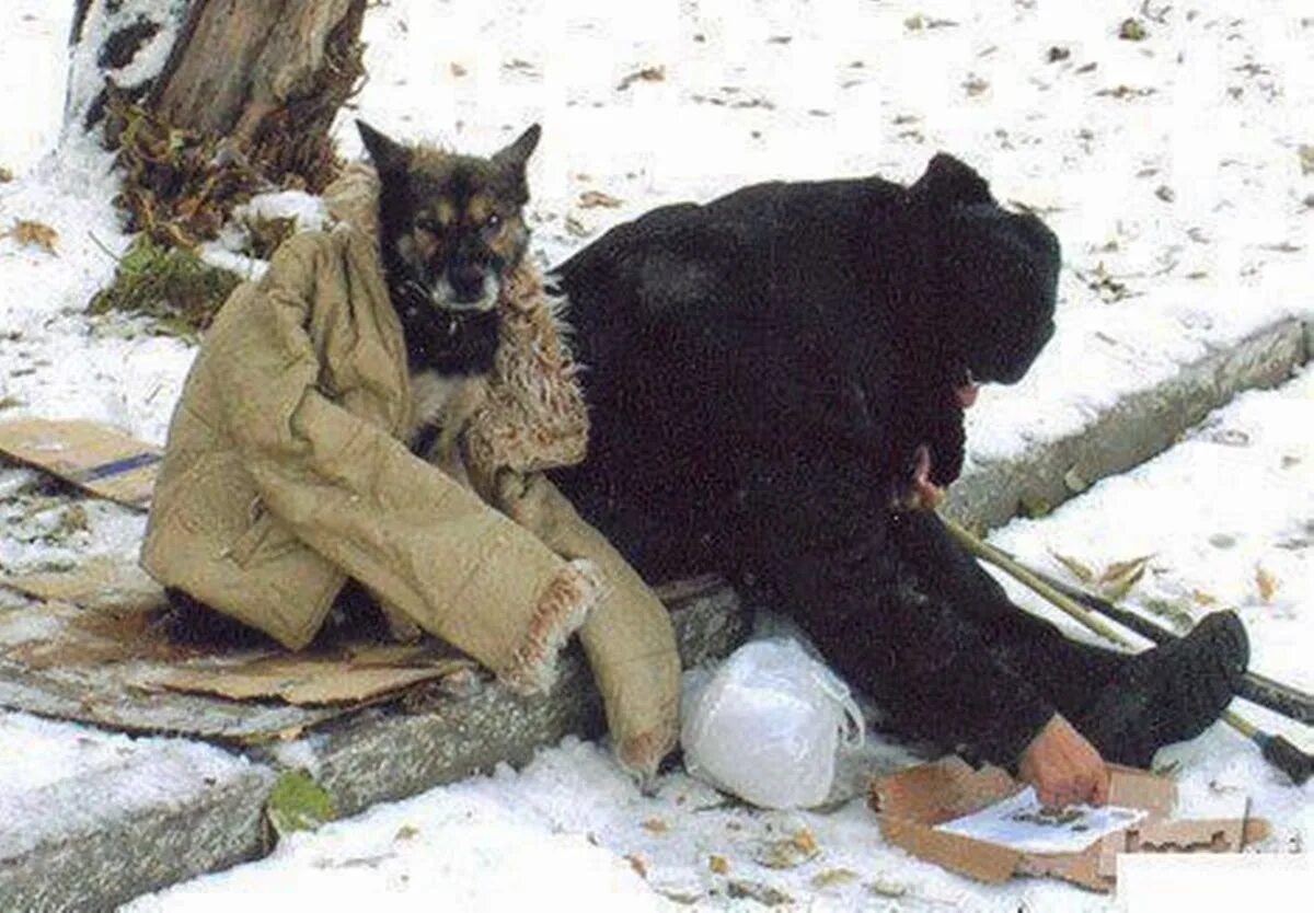 Чувствует чужую боль. Пока человек чувствует чужую боль. пока человек чувствует боль он жив. пока человек чувствует чужую боль он человек. пока человек чувствует чужую.