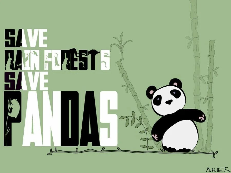 Pandas сохранить. Панда ждет весну. Save the panda the giant panda. Pandas сохранить. Панды с малышом.