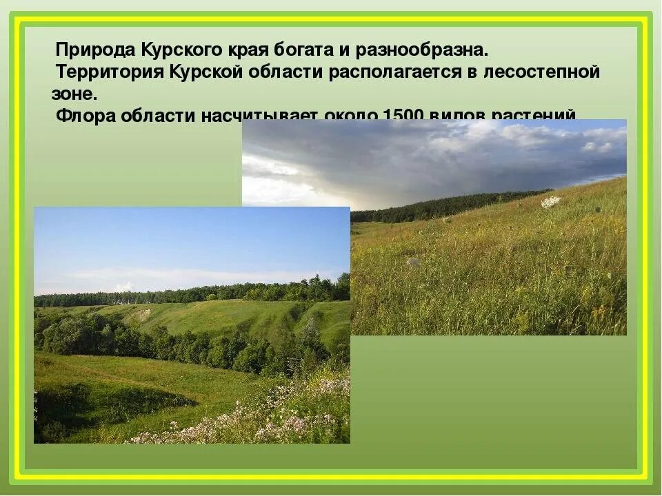 Природа разнообразие природы 3 класс конспект. Растительный мир курской области 4 класс. курской области растительный мир курской области.. природа родного курского края. разнообразие природы курского края.