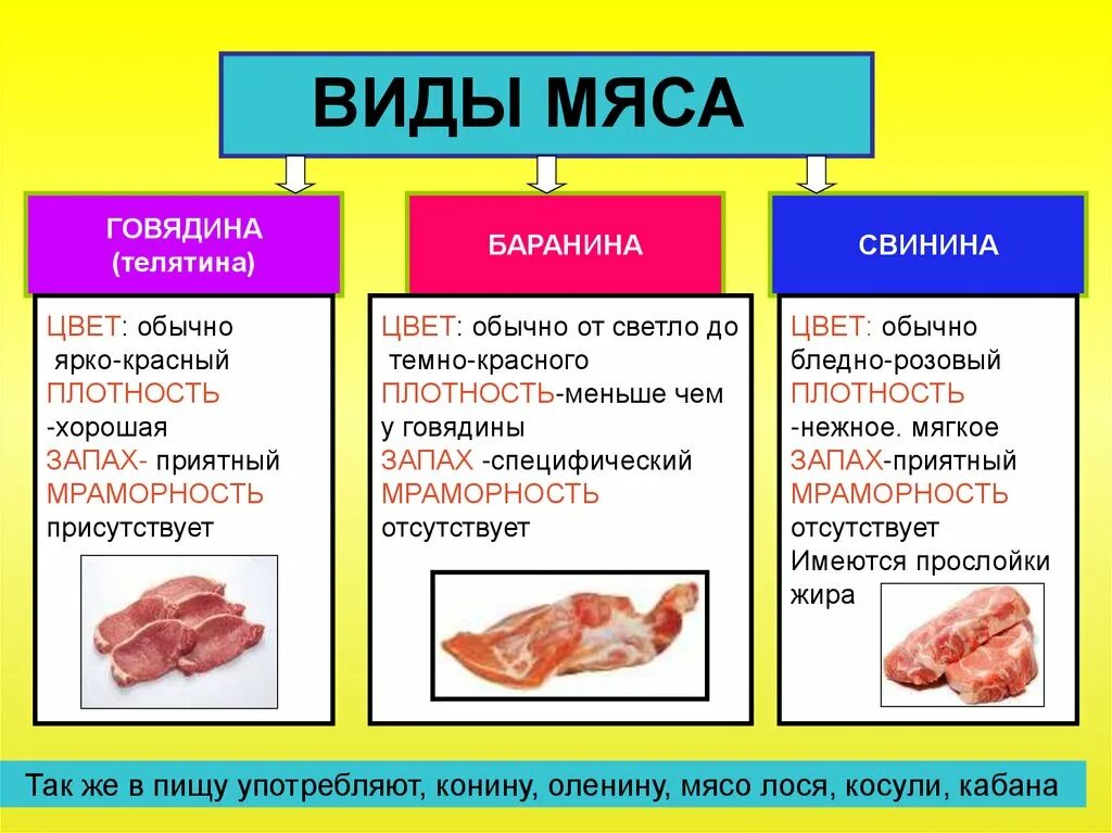 Почему вкус мяса. Виды мяса. Мясо и мясные продукты виды. Типы говяжьего мяса. Мясо виды мяса.