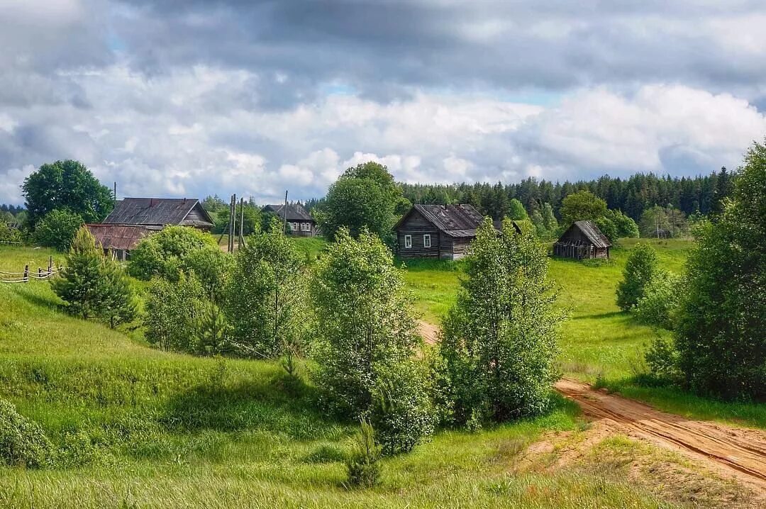 Про русские деревни. Деревня деревенька Тверская область. Деревня Околица Тверская область. Деревня Витово Лужского района. Деревня Лебедево Тверская область.