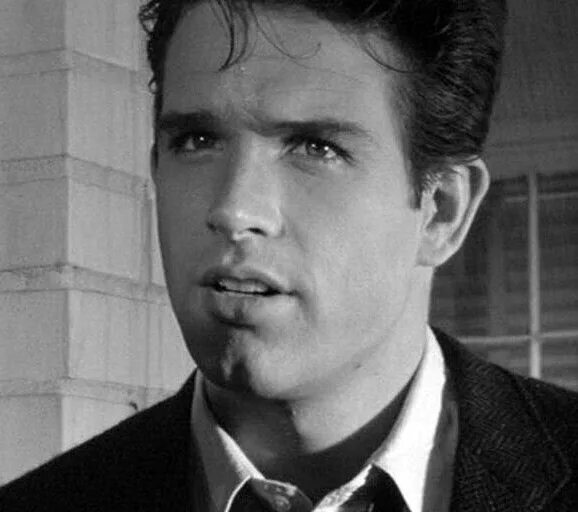 Warren Beatty. Уоррен Битти молодой. Уоррен Битти в молодости фото. Уоррен Битти фото 1984. Очаровательные герои