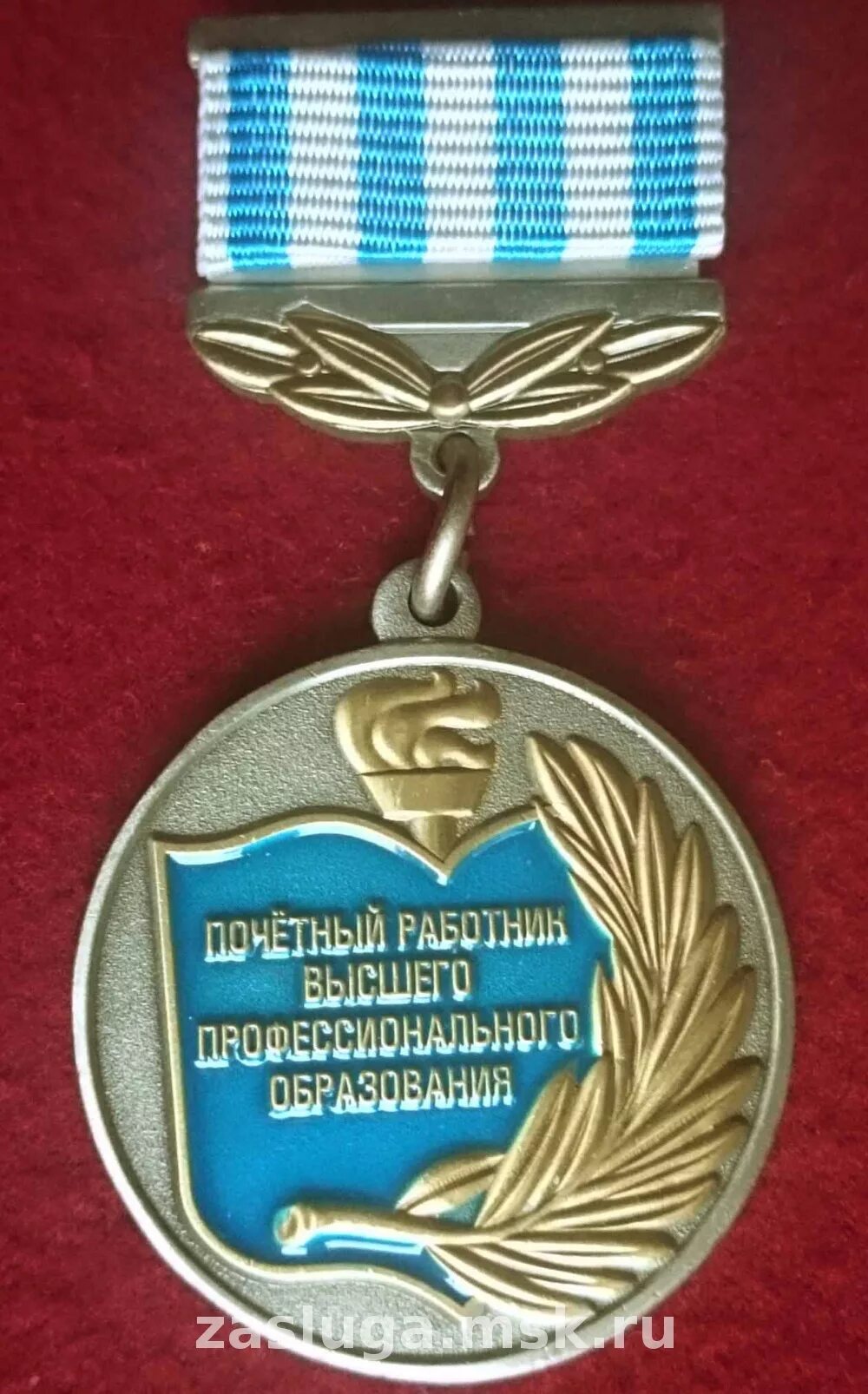 Почетный работник высшего. Медаль почётный работник общего образования российской федерации. Почетный работник высшего. Почетный работник высшего. Нагрудный знак "почетный работник впо рф".
