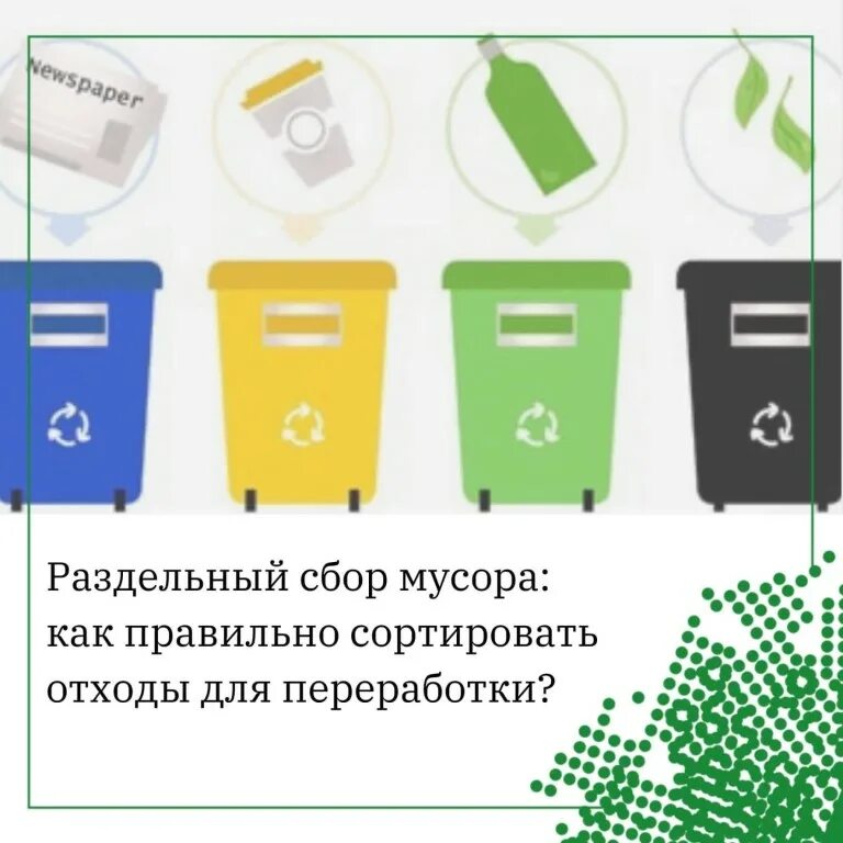 Правильно сортировать. Сортировка мусора. правильная сортировка мусора. правильная сортировка отходов. как правильно сортировать мусор.