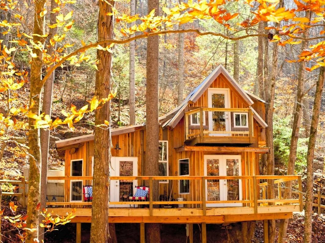 Построить дом в чаще. Дом на дереве (Британская Колумбия, Канада). Домик Кэбин США. Домик на дереве Форест.