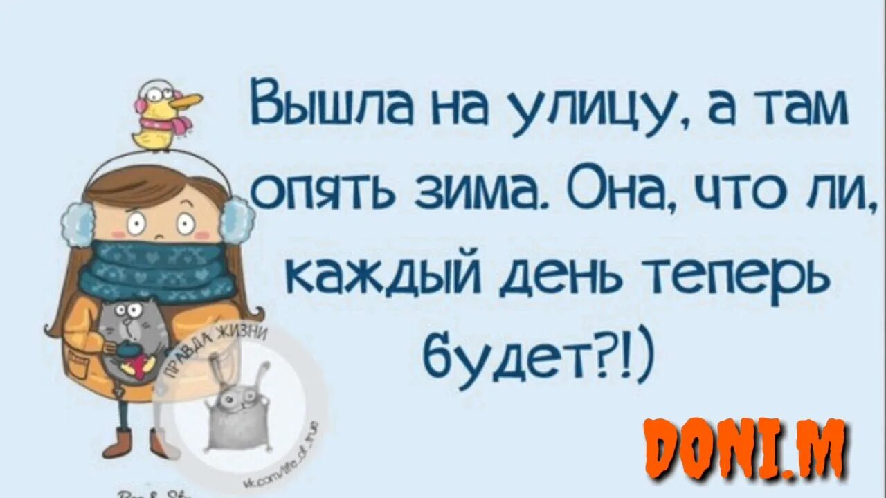 Смешные статусы про зиму. Шутки про зиму. анекдоты про зиму. смешные высказывания про зиму. цитаты про зиму прикольные.