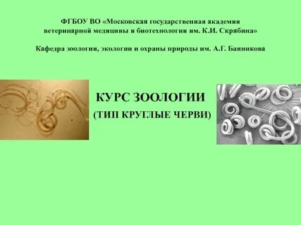 Курс зоологии