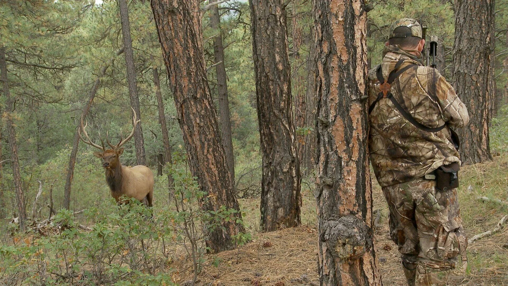 Hunting in another