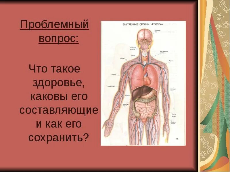 Как работает наш организм презентация 3 класс. Проект на тему организм человека. Человек и его здоровье. Проект на тему человек. Доклад на тему организм человека.