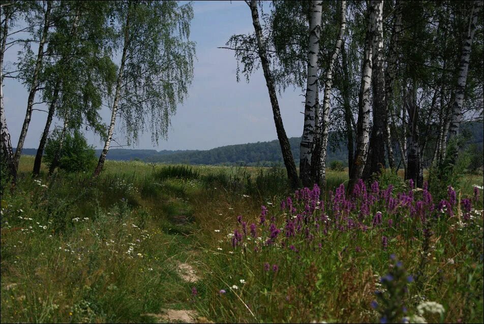 Какое будет лето в свердловской области