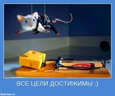 DIY шөп вагоны