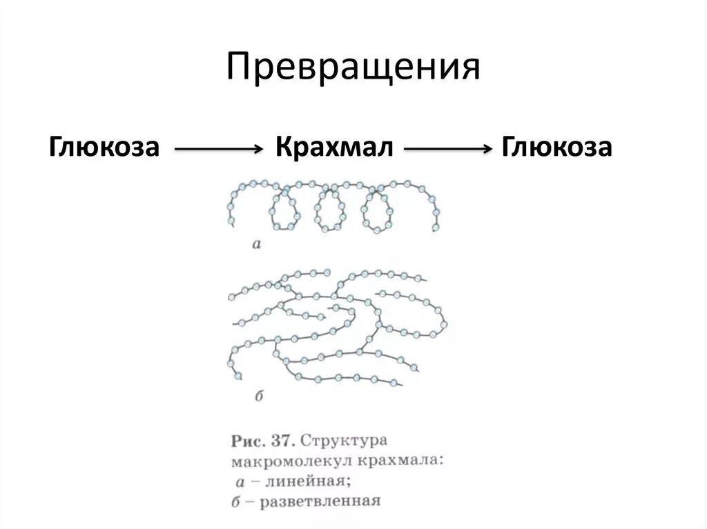 Крахмал водоросль. Превращение крахмала в глюкозу. Превращение крахмала в глюкозу реакция. Превращение крахмала в сахар. Схема превращения крахмала в глюкозу.