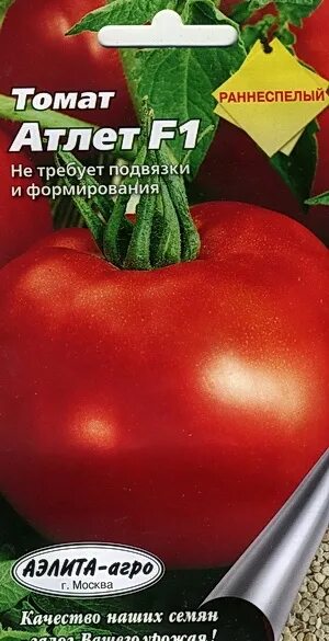 Томат силач. Томат донской f1 (а) 712617. Томат богатырь мязина. Томат атлет мязиной. Томат атлет.