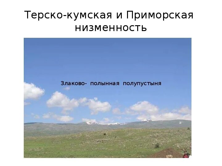 Ставропольская низменность на карте. Где находится ставропольская возвышенность. Терско-кумская низменность рельеф. Прикубанская низменность на карте. Природно-климатические условия центрального предкавказья.