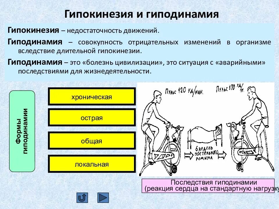 Изменения организма в течении жизни это. Гипокинезия и гиподинамия. Двигательная активность гипокинезия гиподинамия. Гиподинамия это совокупность отрицательных. Последствия гиподинамии.