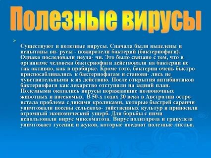 Лучший язык для вирусов