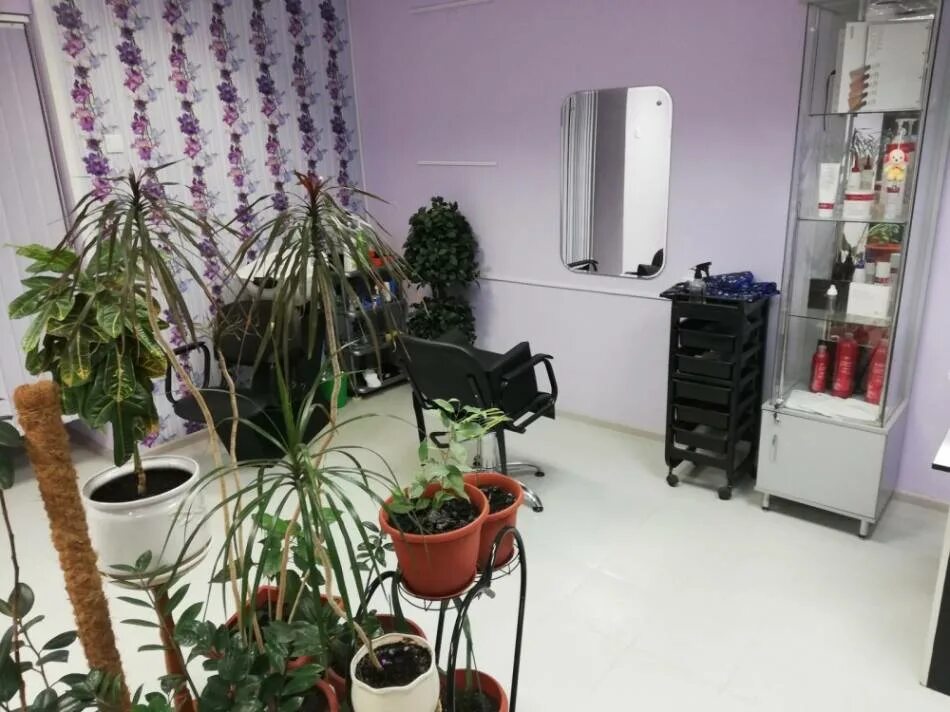 кактус салон красоты калининград. название студии красоты. сормовская 102 краснодар. парикмахерская на урывского воронеж. дом красоты кропоткин.