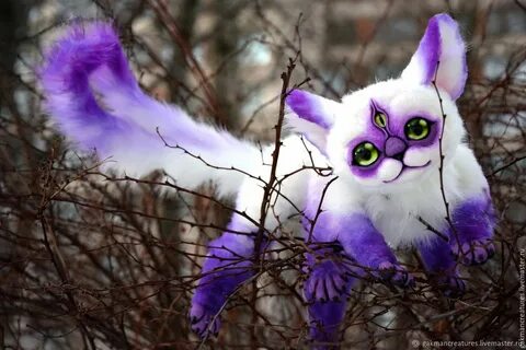 Игра в фиолетовые котик