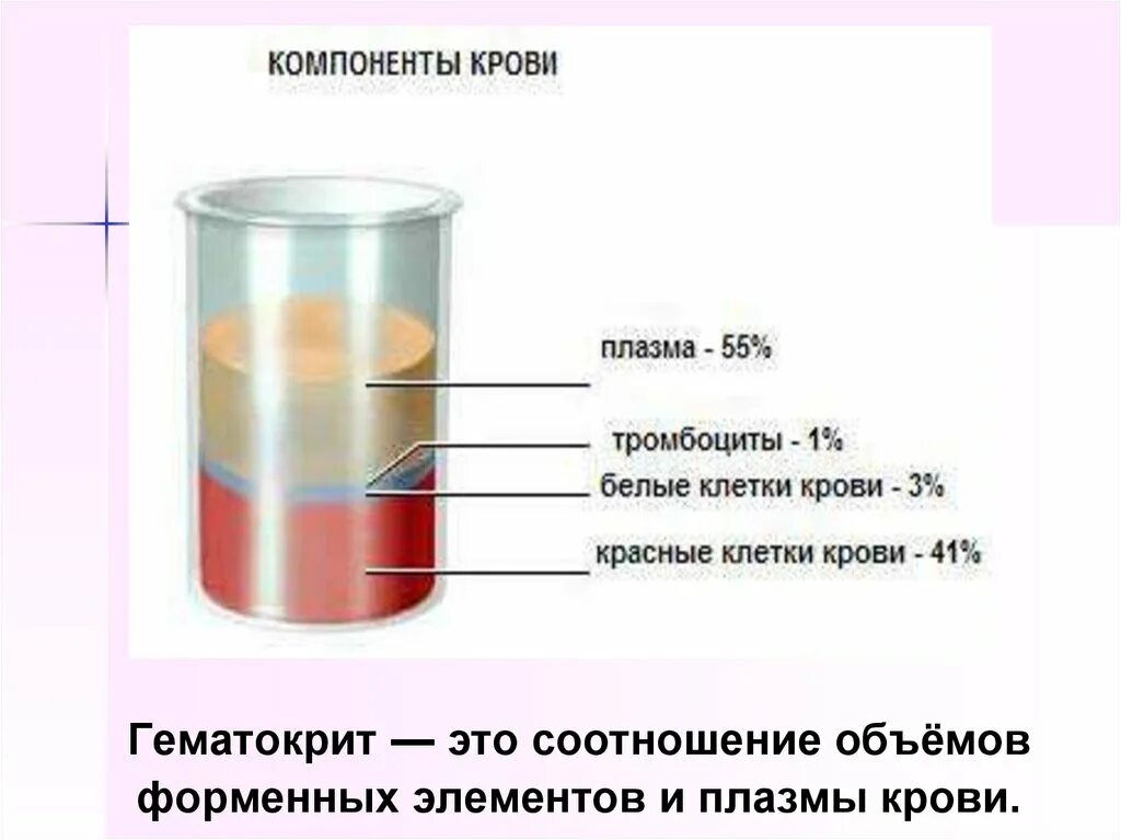 Объем плазмы крови составляет. Гематокрит соотношение плазмы и форменных элементов. Плазма и сыворотка крови. Соотношение плазмы и форменных элементов крови. Соотношение плазмы и форменных элементов крови (гематокрит).