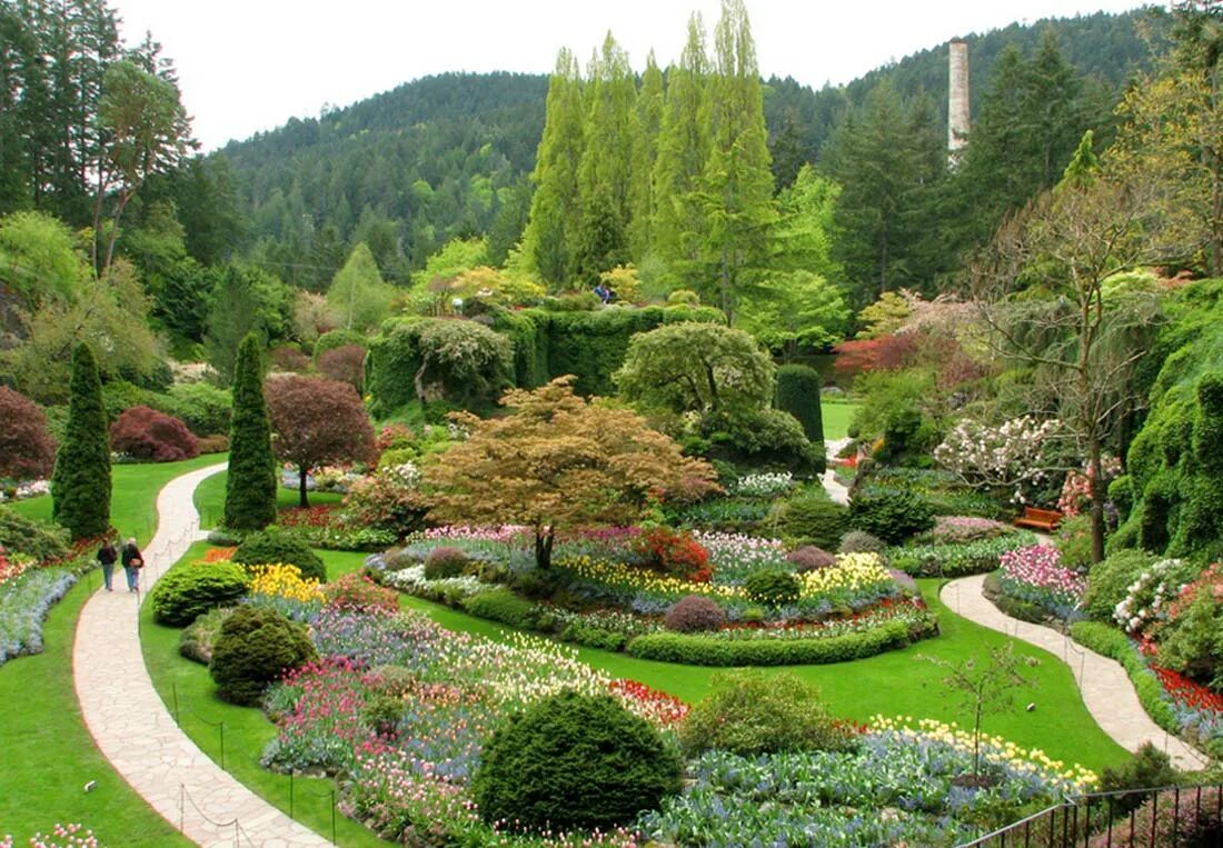 Красивые хвойные. Хвойные садики Чехии. Landshaft Design хвойные. Цветочные сады Бутчартов, Канада. Ландшафт сада.