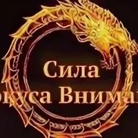 Сила фокуса внимания нико